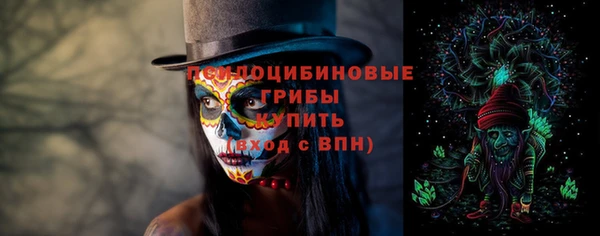 ПСИЛОЦИБИНОВЫЕ ГРИБЫ Абинск