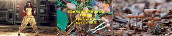 марки lsd Абаза