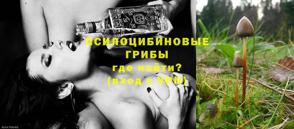 ПСИЛОЦИБИНОВЫЕ ГРИБЫ Абинск